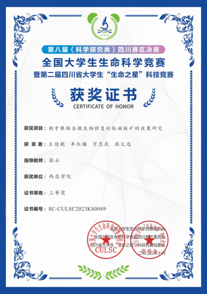 图片4 图片4